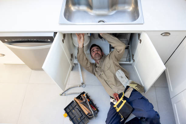 Best Shower Repair Services  in Oak Park, IL