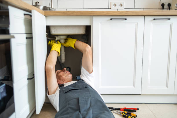 Best Commercial Plumbing Services  in Oak Park, IL